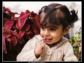صور من ابداع اعضاء عمان فوتو
