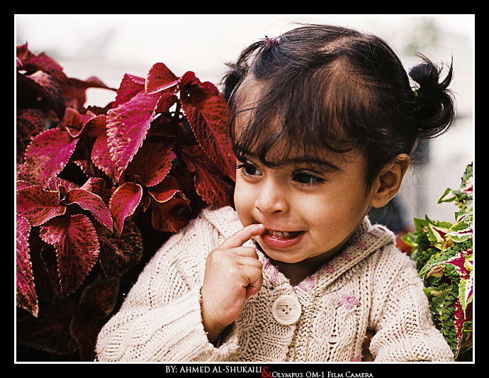 صور من ابداع اعضاء عمان فوتو