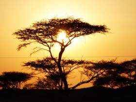 صور من ابداع اعضاء عمان فوتو