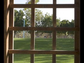 صور من ابداع اعضاء عمان فوتو