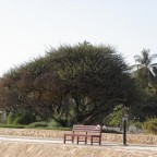 P3122134