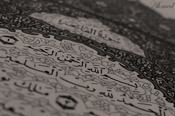 صور من ابداع اعضاء عمان فوتو