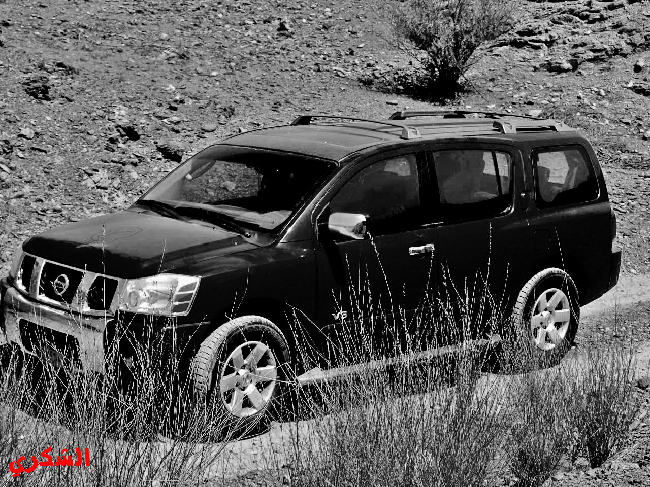 نيسان V8 صحراوي