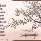الصداقة