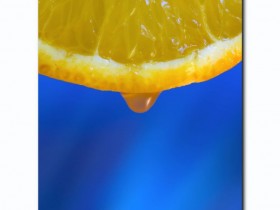 1491757-a9664a237a2d675d_1_