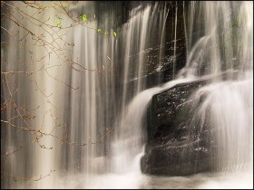 1503263-acf64d0c832b0746_2_