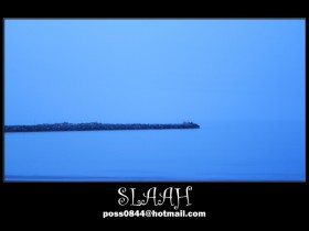 صور من ابداع اعضاء عمان فوتو