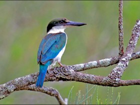 صور منوعة من الإنترنت