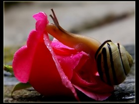 8889306831477755680_1_