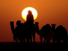 صور من ابداع اعضاء عمان فوتو