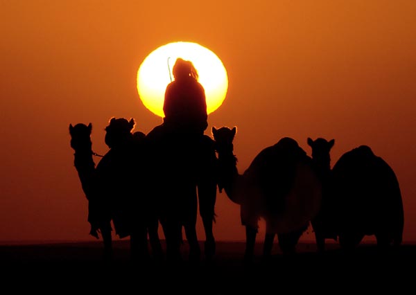 صور من ابداع اعضاء عمان فوتو