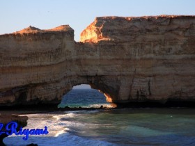 صور من ابداع اعضاء عمان فوتو