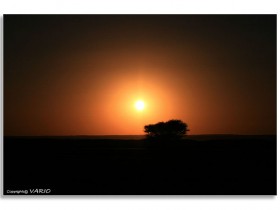 صور من ابداع اعضاء عمان فوتو