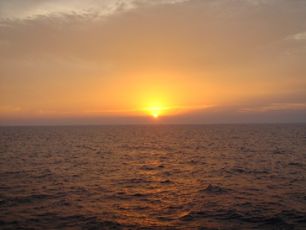 صور منوعة من الإنترنت
