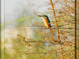 صور منوعة من الإنترنت