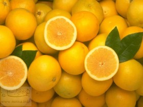 yellow-oranges_1_