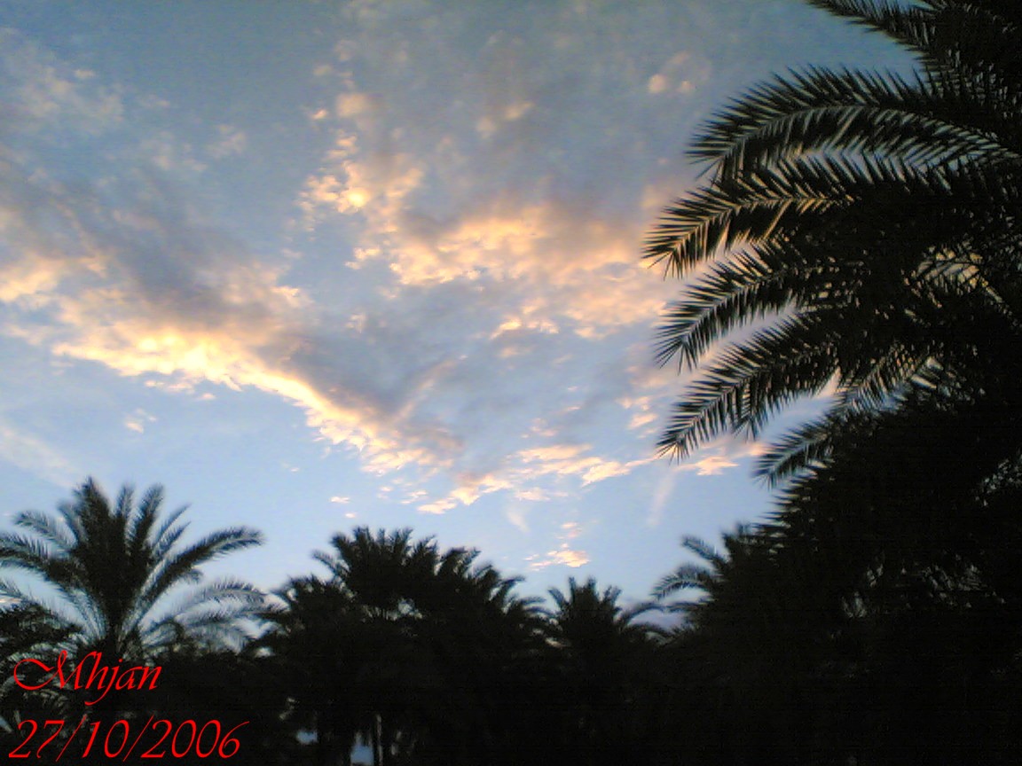 صور من ابداع اعضاء عمان فوتو