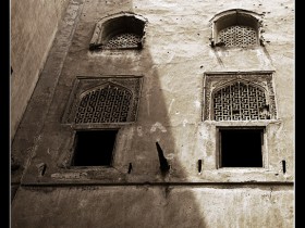 صور من ابداع اعضاء عمان فوتو