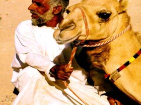 صور من ابداع اعضاء عمان فوتو
