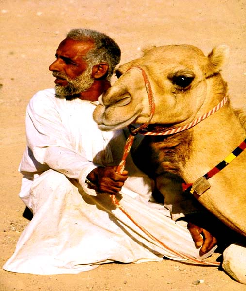 صور من ابداع اعضاء عمان فوتو