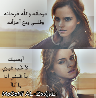 3ll