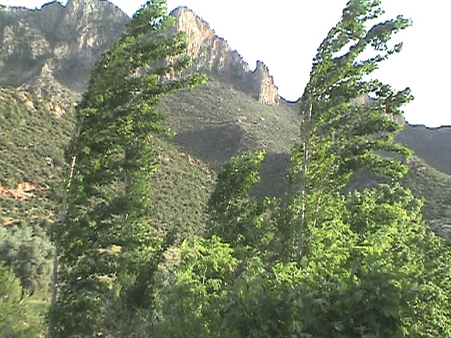 www.tamoudjoute .net
