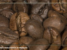 صور من ابداع اعضاء عمان فوتو