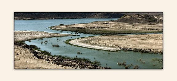 صور من ابداع اعضاء عمان فوتو