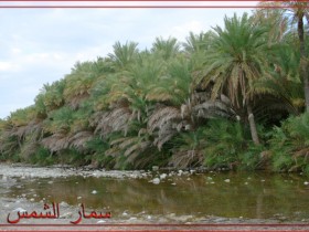 صور من ابداع اعضاء عمان فوتو