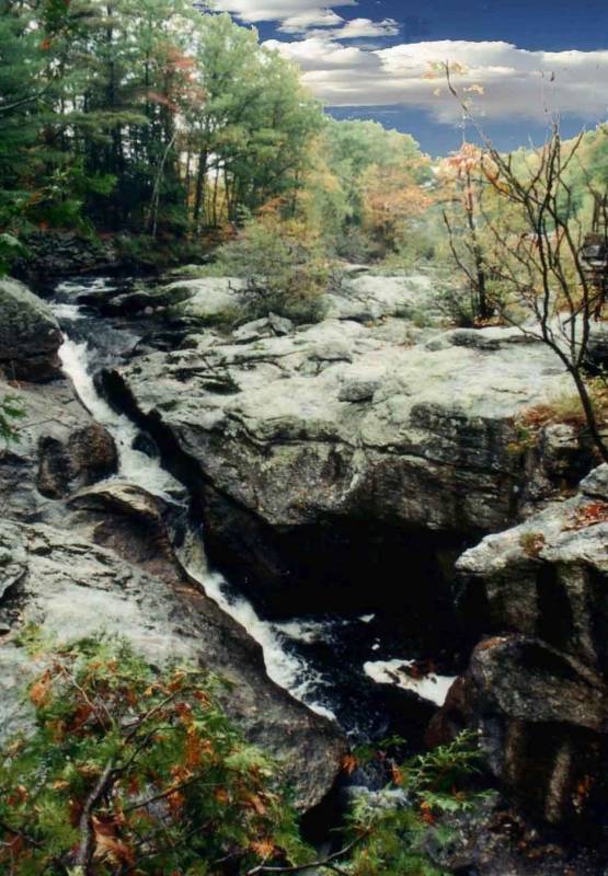 صور منوعة من الإنترنت