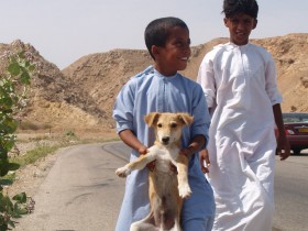 رفيق الأنسان