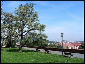 صور منوعة من الإنترنت