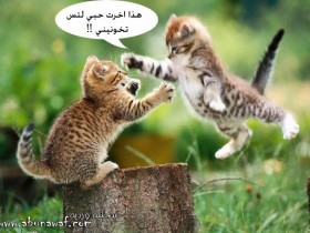 خيانة