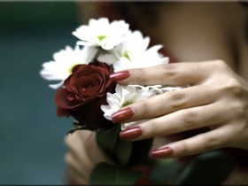 صور من ابداع اعضاء عمان فوتو