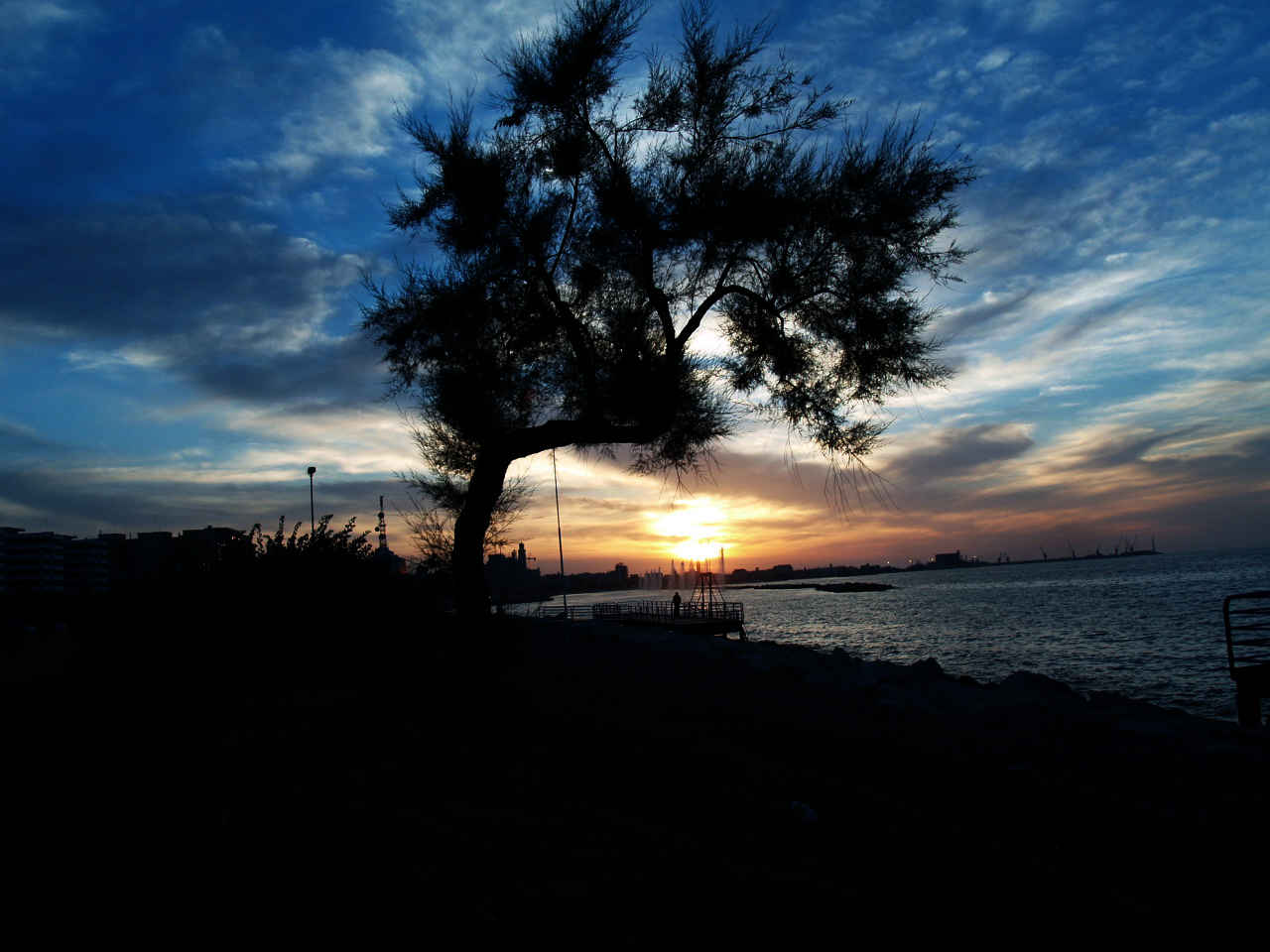 صور من ابداع اعضاء عمان فوتو