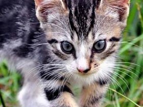 صور منوعة من الإنترنت