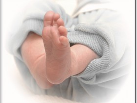 صور منوعة من الإنترنت