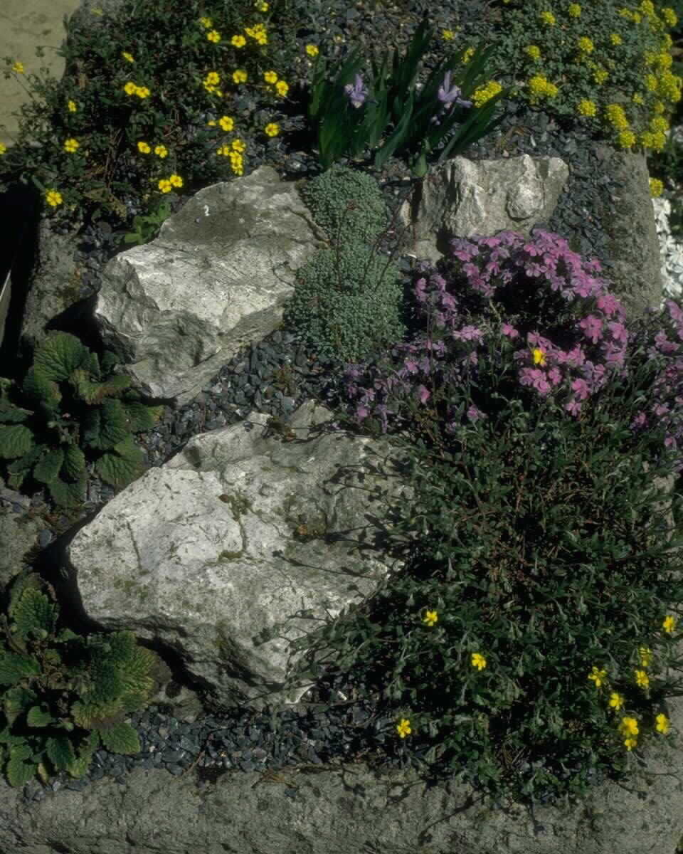 PTBL0175