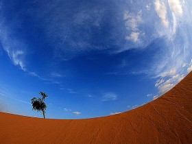 صور من ابداع اعضاء عمان فوتو