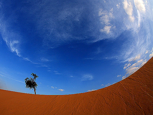 صور من ابداع اعضاء عمان فوتو