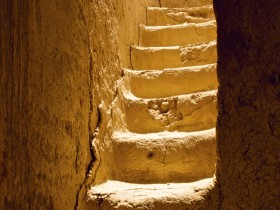 صور من ابداع اعضاء عمان فوتو