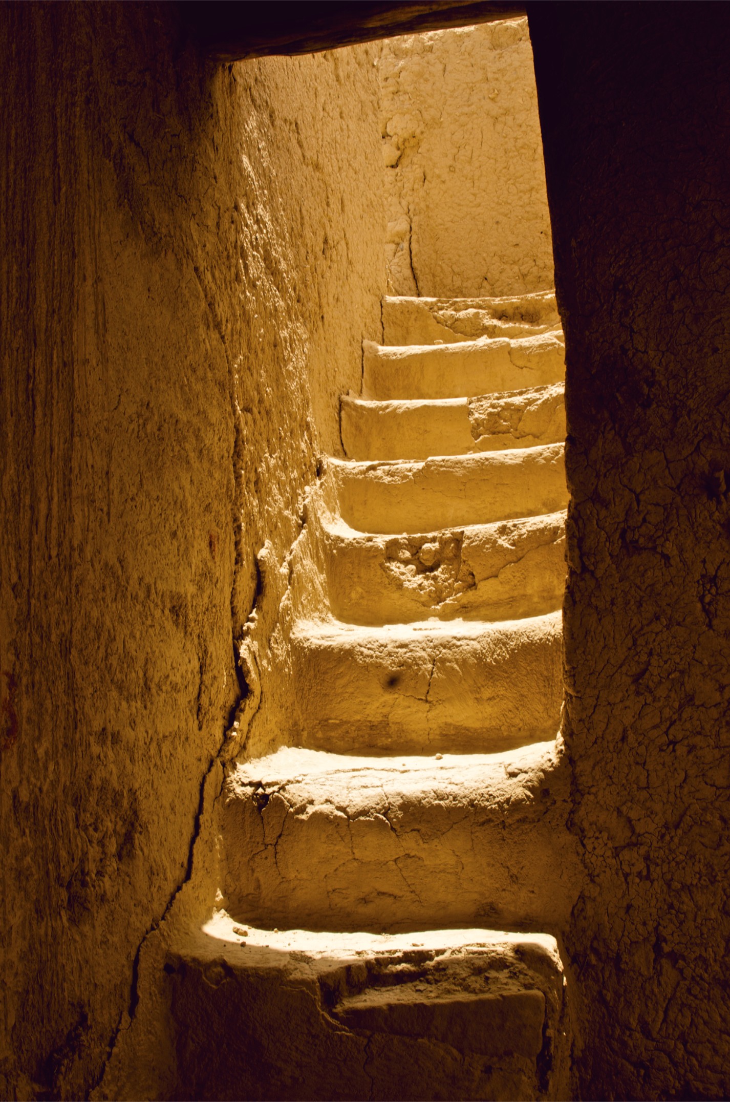 صور من ابداع اعضاء عمان فوتو