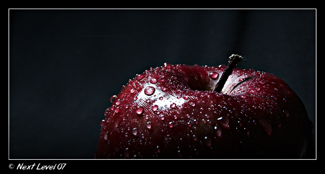 صور من ابداع اعضاء عمان فوتو