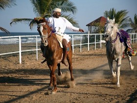 صور من ابداع اعضاء عمان فوتو