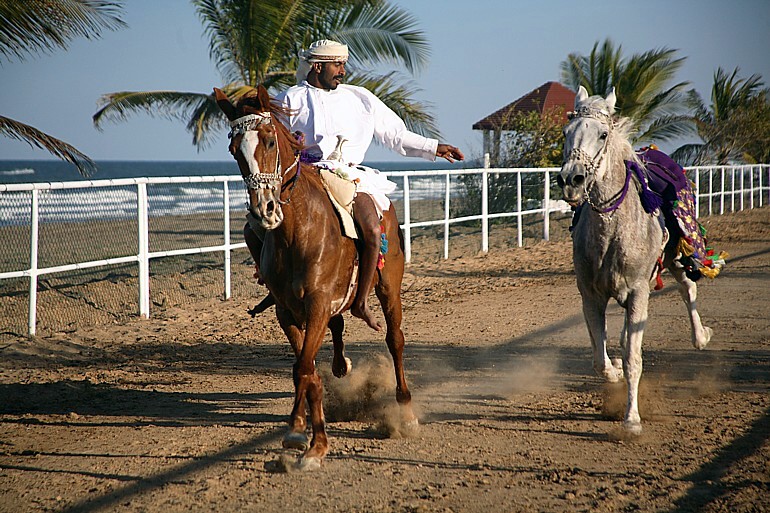 صور من ابداع اعضاء عمان فوتو