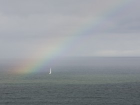 صور منوعة من الإنترنت