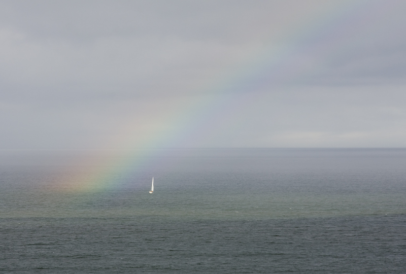 صور منوعة من الإنترنت