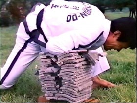 Taekwondo