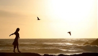 y168964-md1_1_