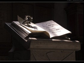 nice_pic_design_photo_86_1_